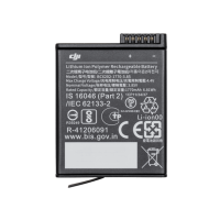 DJI Osmo Action Extreme Battery
