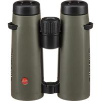 Leica NOCTIVID 10x42, green